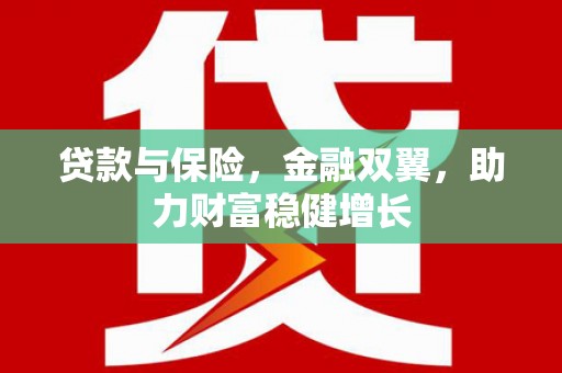 南丰贷款与保险，金融双翼，助力财富稳健增长