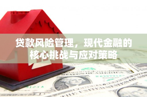 南丰贷款风险管理，现代金融的核心挑战与应对策略