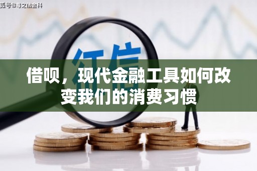 南丰借呗，现代金融工具如何改变我们的消费习惯