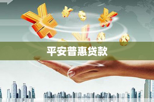 南丰平安普惠贷款
