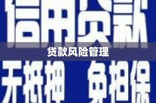 南丰贷款风险管理