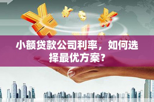 南丰小额贷款公司利率，如何选择最优方案？