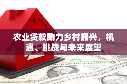南丰农业贷款助力乡村振兴，机遇、挑战与未来展望