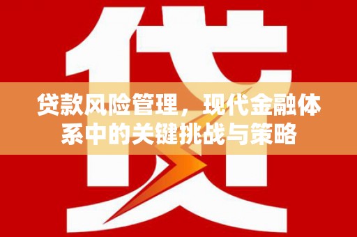 南丰贷款风险管理，现代金融体系中的关键挑战与策略