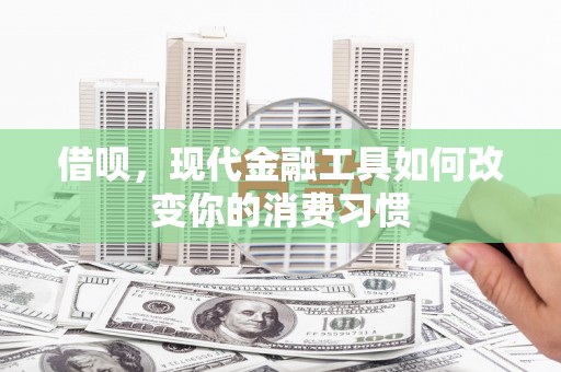 南丰借呗，现代金融工具如何改变你的消费习惯