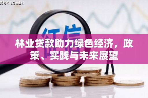 南丰林业贷款助力绿色经济，政策、实践与未来展望