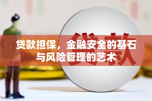 南丰贷款担保，金融安全的基石与风险管理的艺术