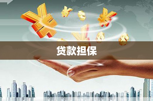 南丰贷款担保