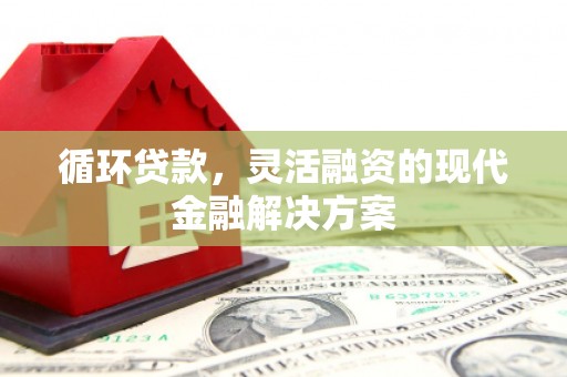 南丰循环贷款，灵活融资的现代金融解决方案