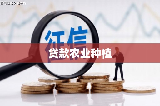 南丰贷款农业种植
