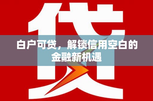 南丰白户可贷，解锁信用空白的金融新机遇