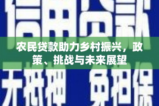 南丰农民贷款助力乡村振兴，政策、挑战与未来展望