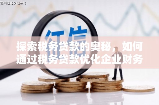 南丰探索税务贷款的奥秘，如何通过税务贷款优化企业财务