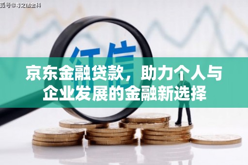 南丰京东金融贷款，助力个人与企业发展的金融新选择