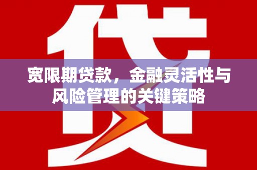 南丰宽限期贷款，金融灵活性与风险管理的关键策略