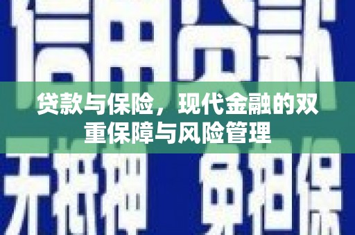 南丰贷款与保险，现代金融的双重保障与风险管理