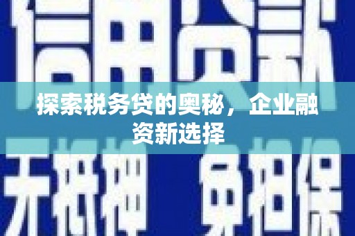 南丰探索税务贷的奥秘，企业融资新选择