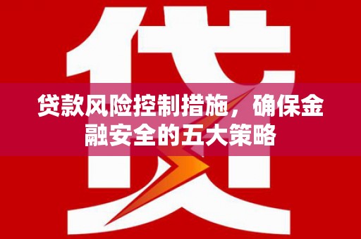 南丰贷款风险控制措施，确保金融安全的五大策略