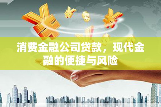 南丰消费金融公司贷款，现代金融的便捷与风险