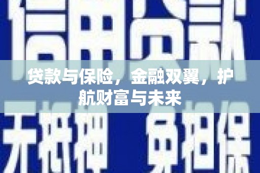 南丰贷款与保险，金融双翼，护航财富与未来