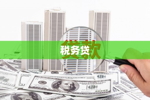 南丰税务贷