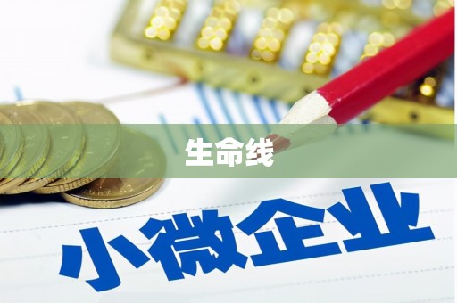 南丰生命线