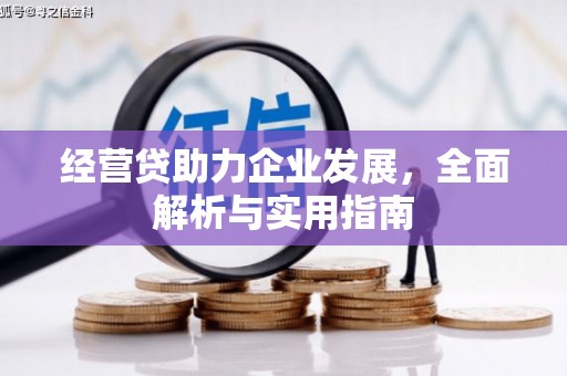 南丰经营贷助力企业发展，全面解析与实用指南