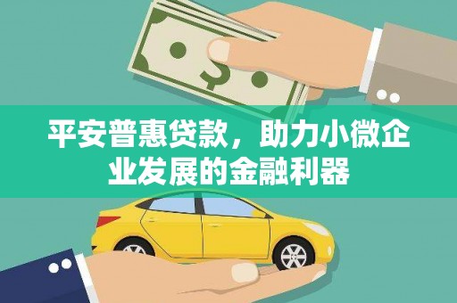 南丰平安普惠贷款，助力小微企业发展的金融利器