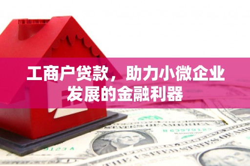 南丰工商户贷款，助力小微企业发展的金融利器