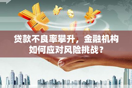 南丰贷款不良率攀升，金融机构如何应对风险挑战？