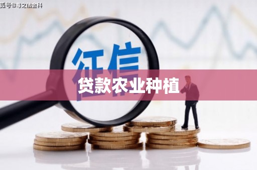 南丰贷款农业种植