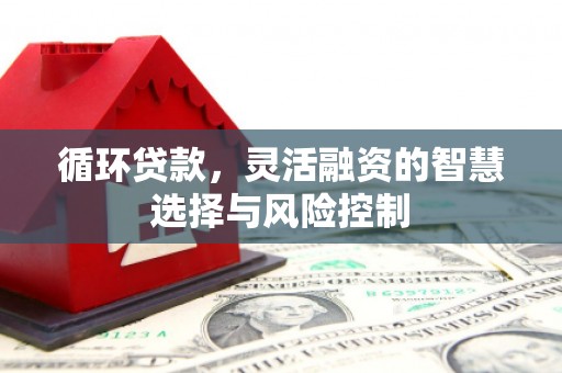 南丰循环贷款，灵活融资的智慧选择与风险控制