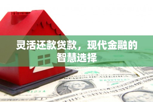 南丰灵活还款贷款，现代金融的智慧选择
