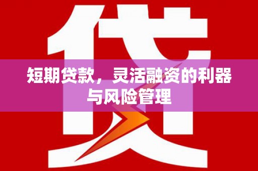南丰短期贷款，灵活融资的利器与风险管理