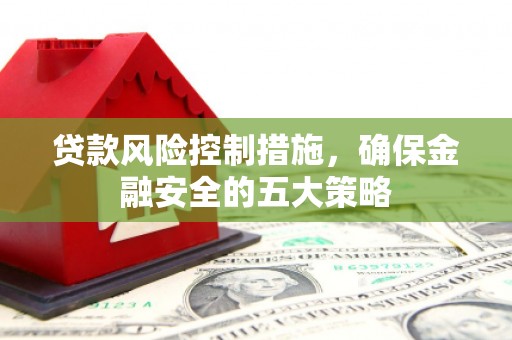 南丰贷款风险控制措施，确保金融安全的五大策略