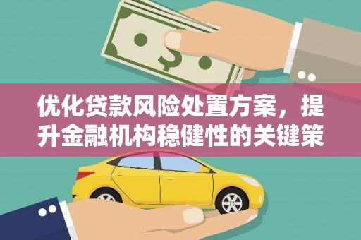 南丰优化贷款风险处置方案，提升金融机构稳健性的关键策略