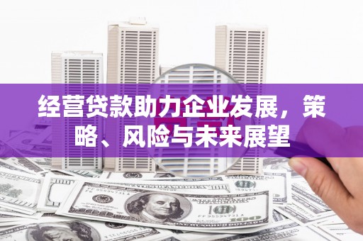 南丰经营贷款助力企业发展，策略、风险与未来展望
