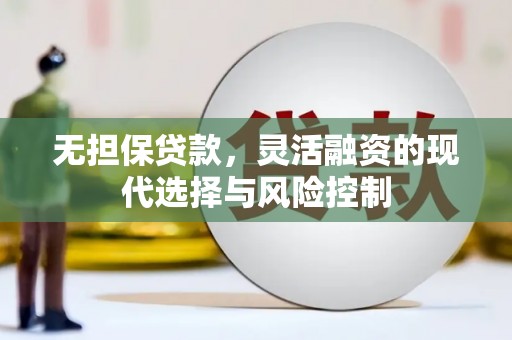 南丰无担保贷款，灵活融资的现代选择与风险控制