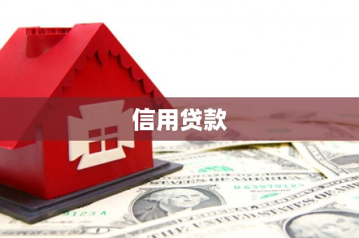 南丰信用贷款