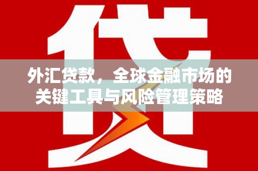南丰外汇贷款，全球金融市场的关键工具与风险管理策略