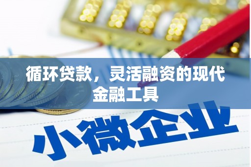 南丰循环贷款，灵活融资的现代金融工具