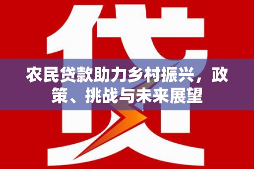 南丰农民贷款助力乡村振兴，政策、挑战与未来展望