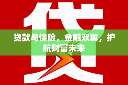 南丰贷款与保险，金融双翼，护航财富未来
