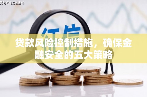 南丰贷款风险控制措施，确保金融安全的五大策略