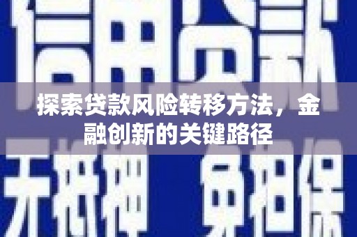 南丰探索贷款风险转移方法，金融创新的关键路径