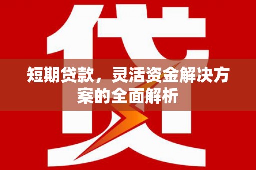 南丰短期贷款，灵活资金解决方案的全面解析