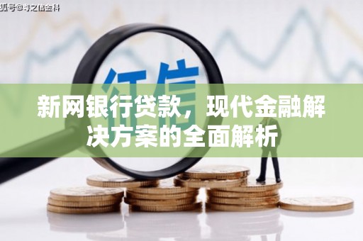 南丰新网银行贷款，现代金融解决方案的全面解析