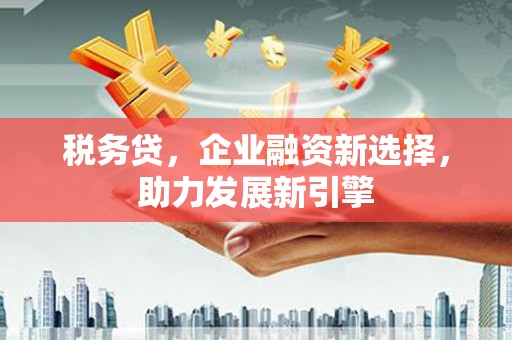 南丰税务贷，企业融资新选择，助力发展新引擎