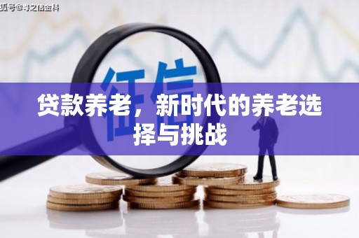 南丰贷款养老，新时代的养老选择与挑战