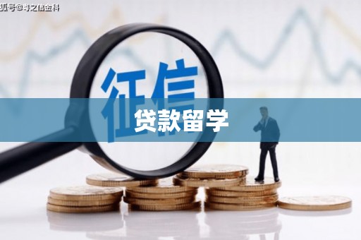 南丰贷款留学